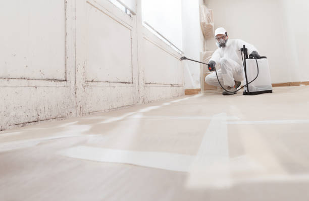 24/7 Emergency Mold Remediation experts in Paramus, NJ