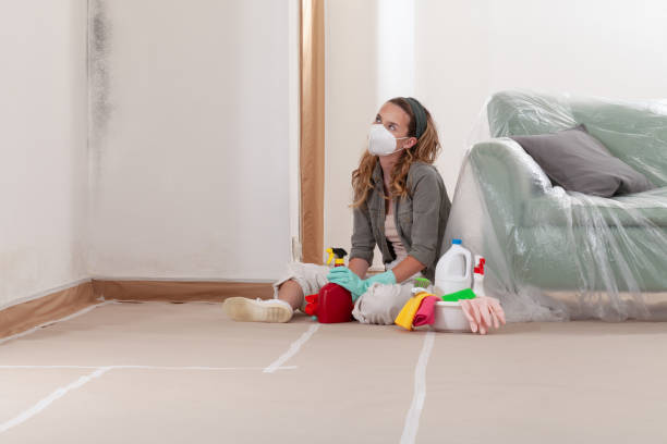 Reliable Mold Remediation contractor in Paramus, NJ by Mold Remediation HQ